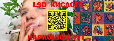 СК Ставрополь