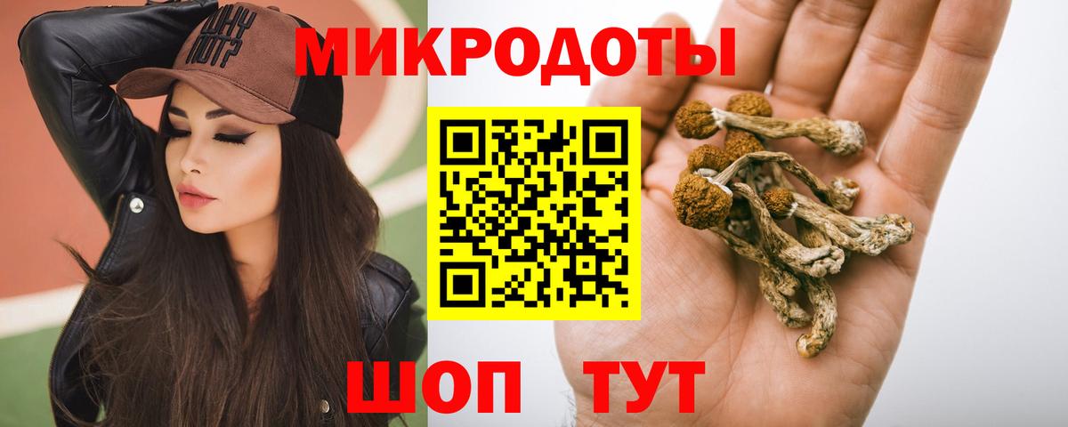 Галлюциногенные грибы Psilocybine cubensis  Псилоцибиновые грибы Psilocybine cubensis  Нерюнгри  Вход с VPN 