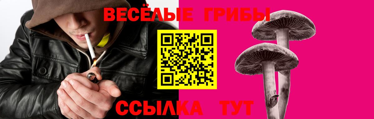 Псилоцибиновые грибы прущие грибы Нерюнгри